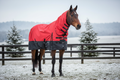 Tall horse wearing red and black blanket